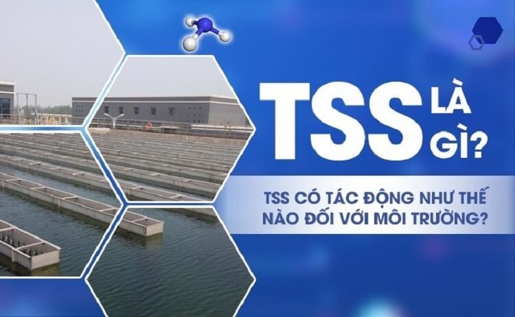  TSS là gì? Ý nghĩa quan trọng của nó đối với môi trường nước